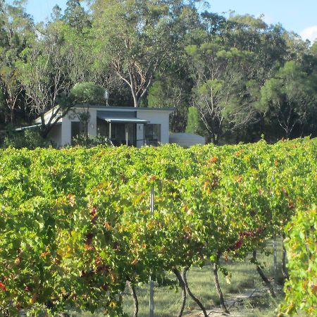 Just Red Wines Cabins Ballandean Buitenkant foto