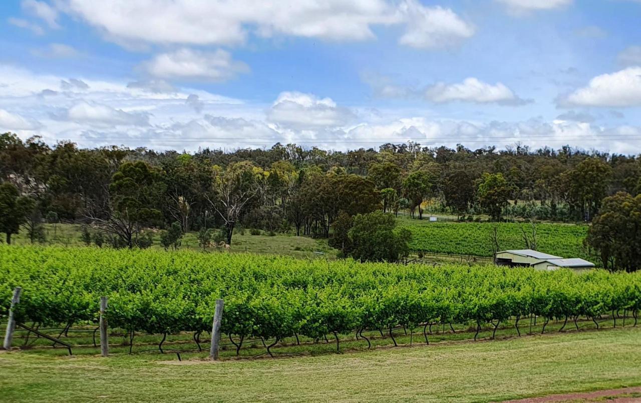 Just Red Wines Cabins Ballandean Buitenkant foto